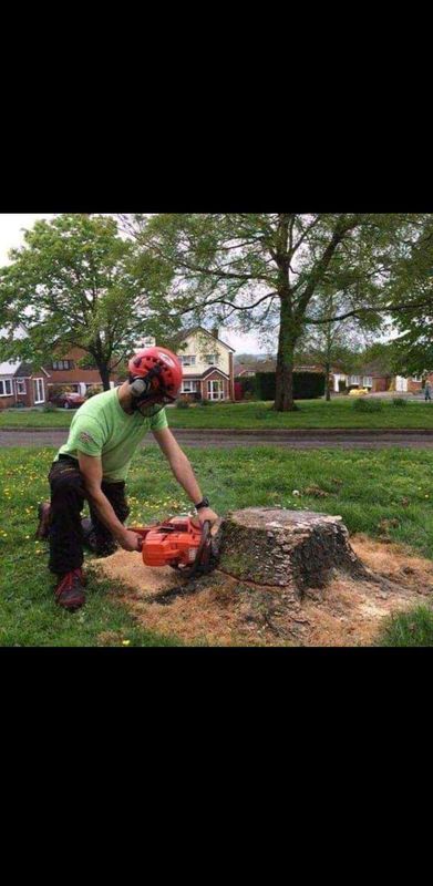 ALLAN TREE FELLING (0782745808)