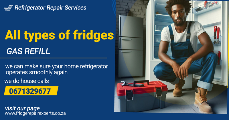 Expert Fridge Repairs Pta