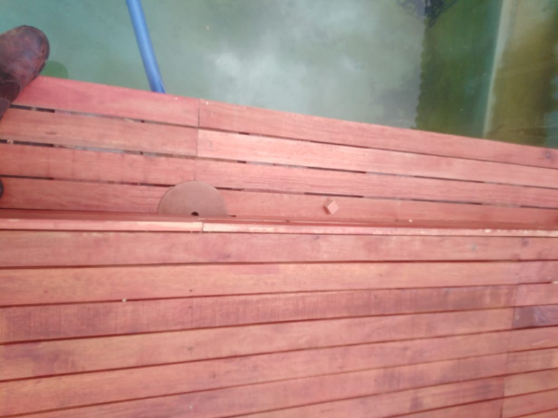 Saligna planks A grade - Ideal for decking