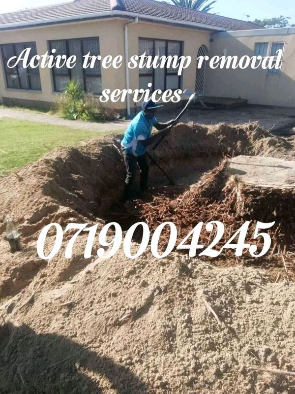 affordable tree felling and stump removal services
