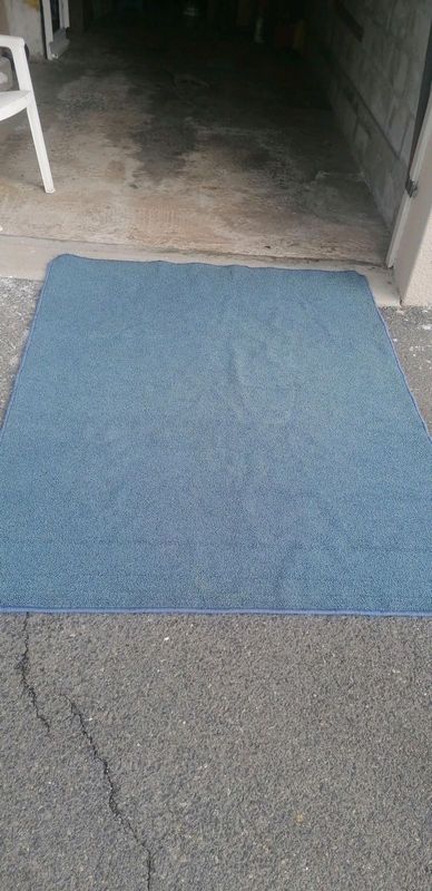2 x blue carpet/mat