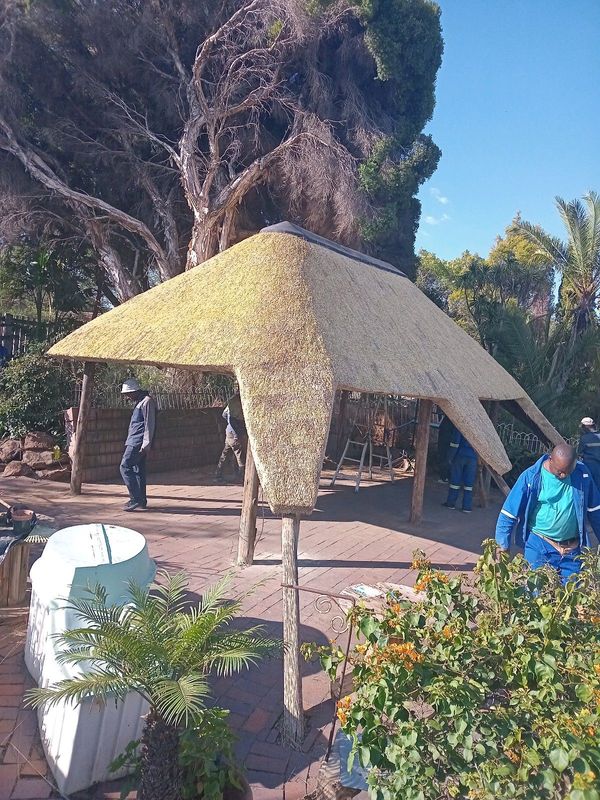 Thatch Repairs | Thatch Roofs | Thatch Lapas