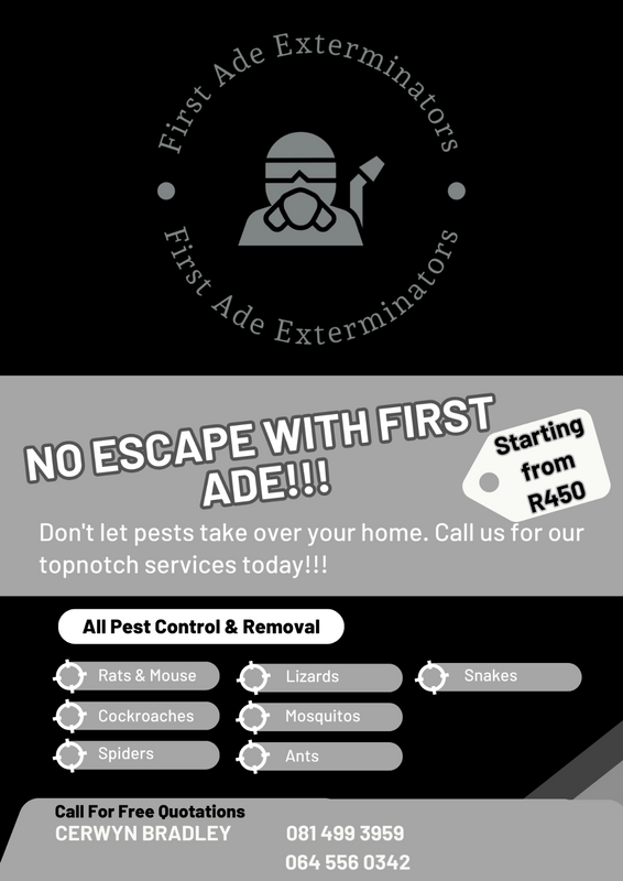 Pest Control Extermination