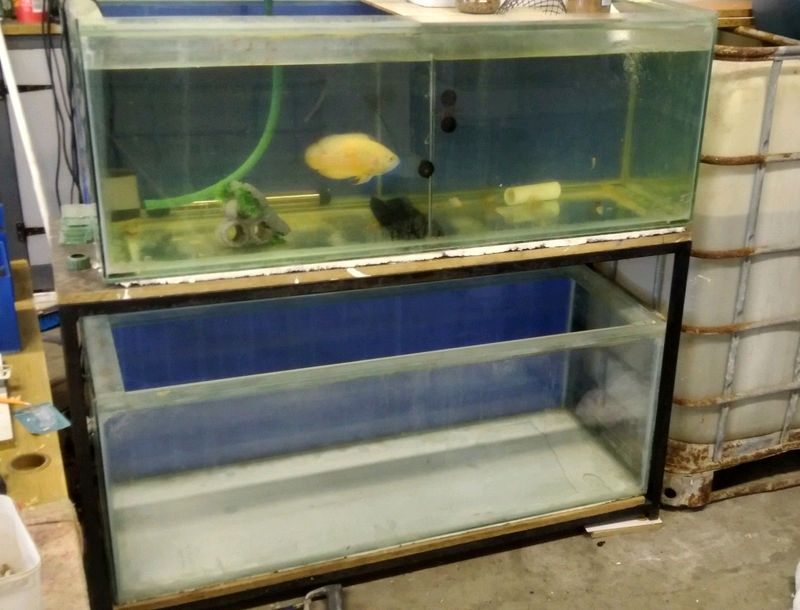 1.2m fish tank