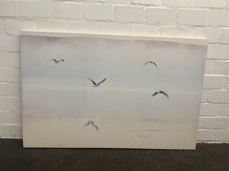 Seagulls on White Canvas Artwork (Width: 140cm) (Height: 93cm)- A50096