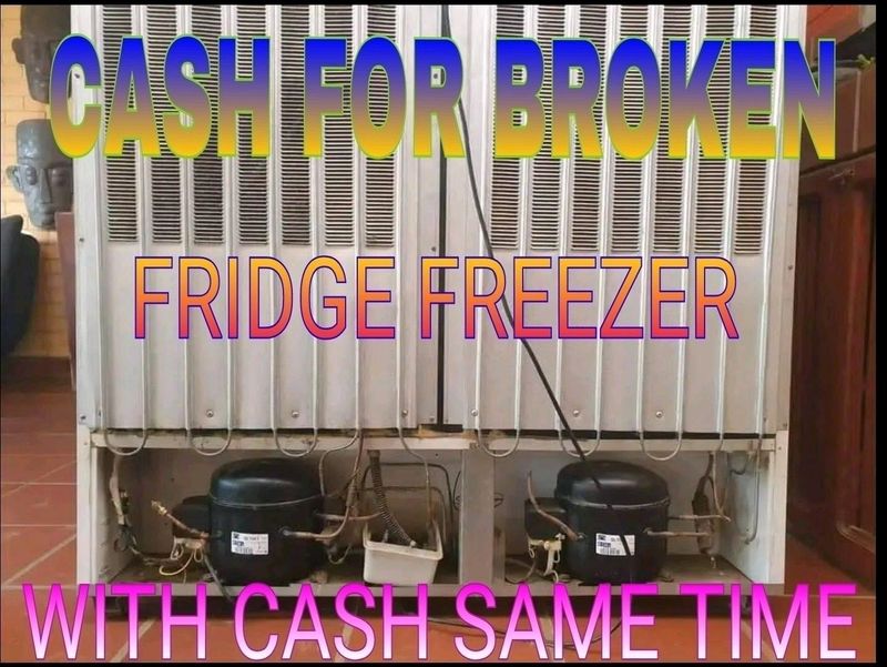 Broken fridge freezer with cash