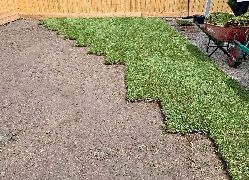 EVERGREEN INSTANT LAWN