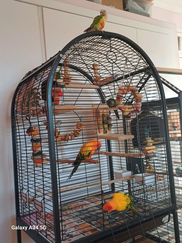 Preowned bird cage