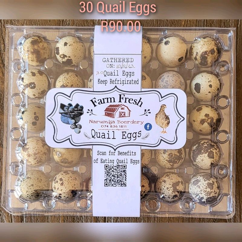 Fresh free range quail eggs