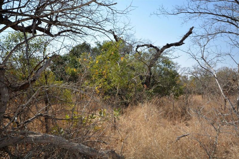 Vacant Land in MODITLO NATURE RESERVE