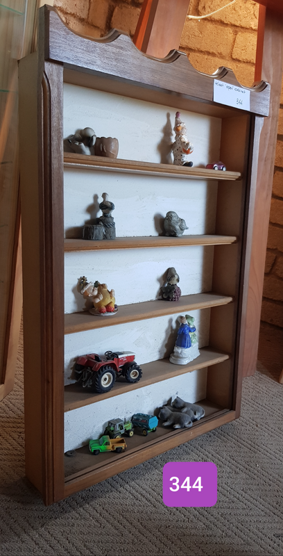 Display Cabinet for kiddies room Decorated