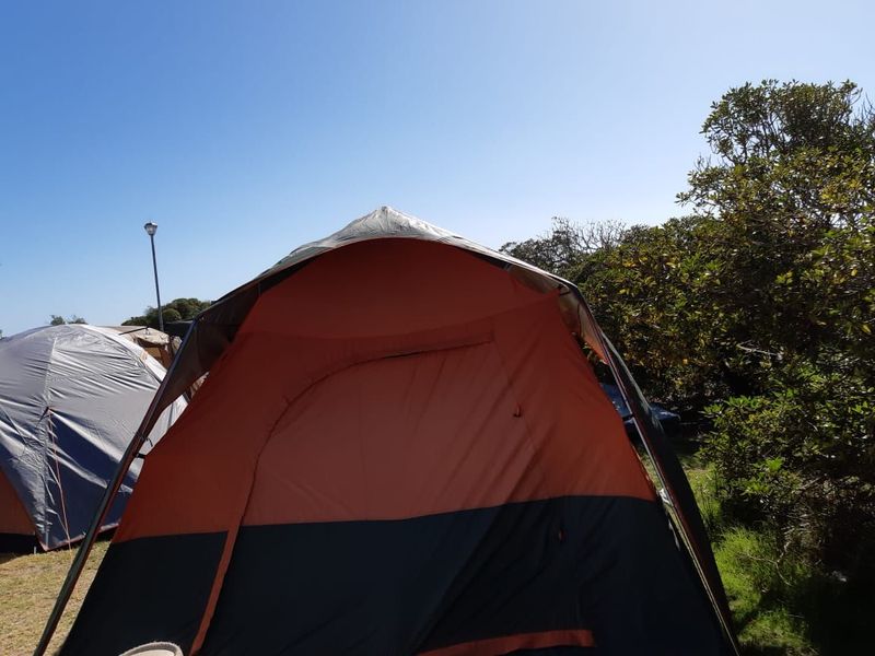 Bushbaby 5 sleeper Tent