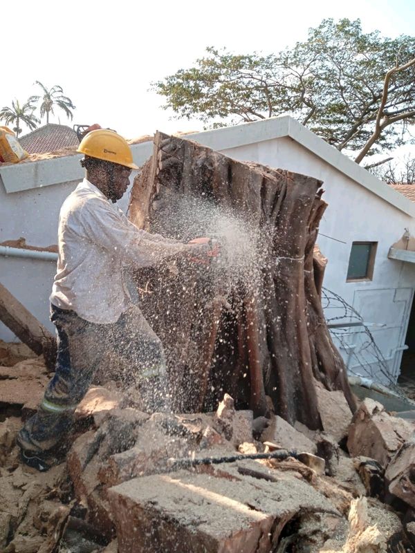 EDDIE&#39;S TREE FELLING