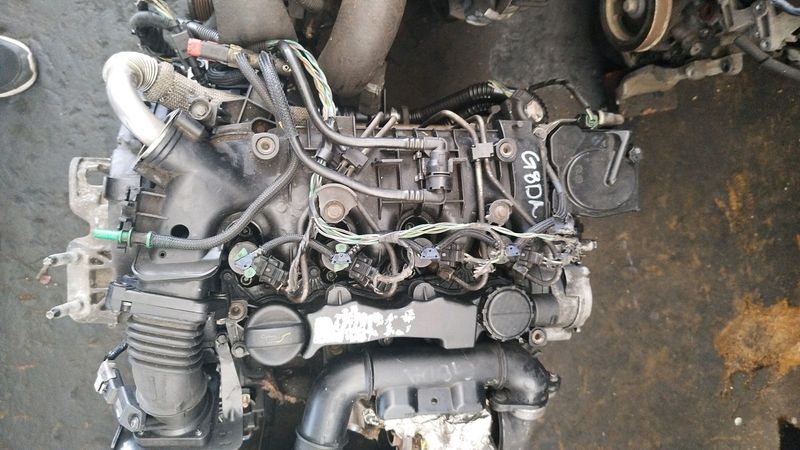 ford/mazda g8da engine