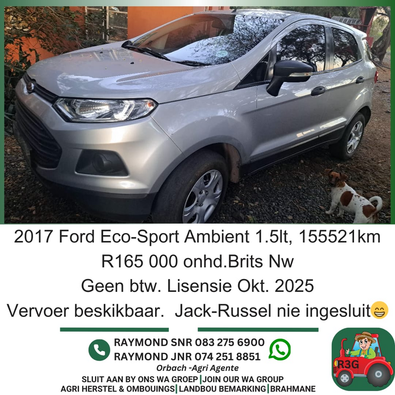 2017 Ford EcoSport Other