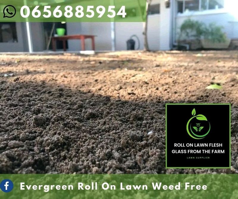 We supply and install all types of roll on lawn grass weed free straight from the farm