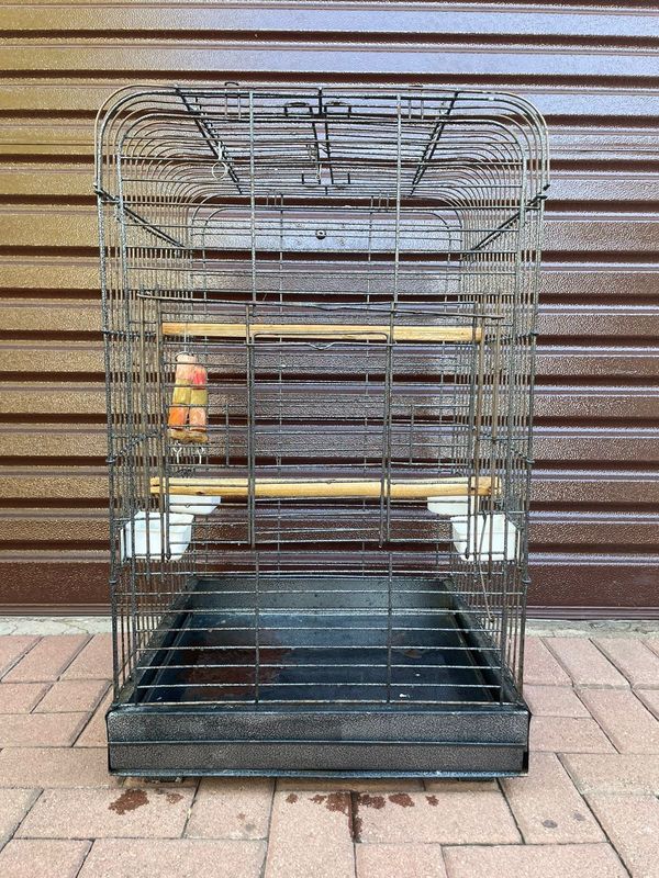 Bird And Parrot Cage
