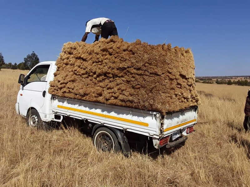 Thatching - Ad posted by Mandla Thatching