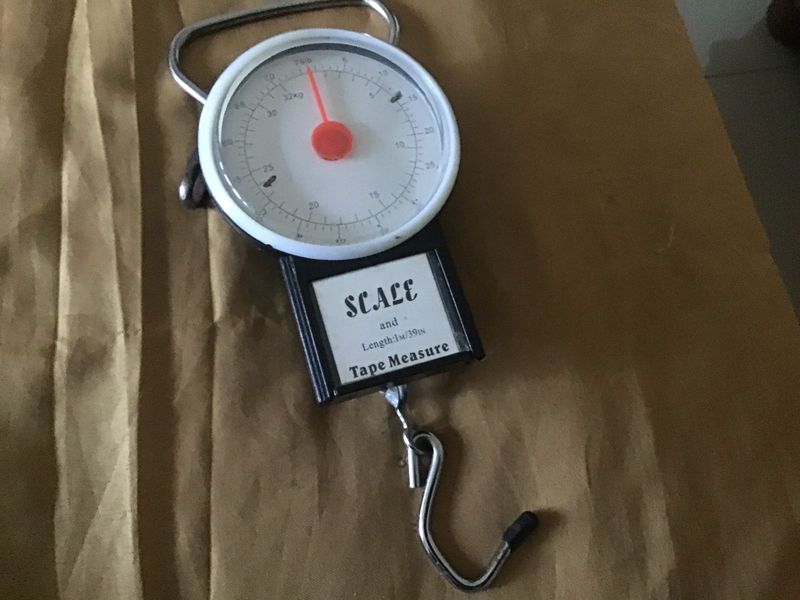 Portable travel luggage scale with tape measure