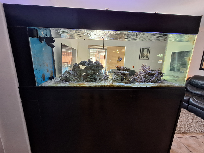 1.8m Marine Fish Tank For sale