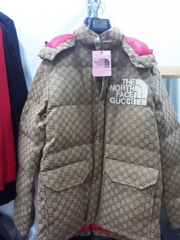 The North Face Gucci winter jacket