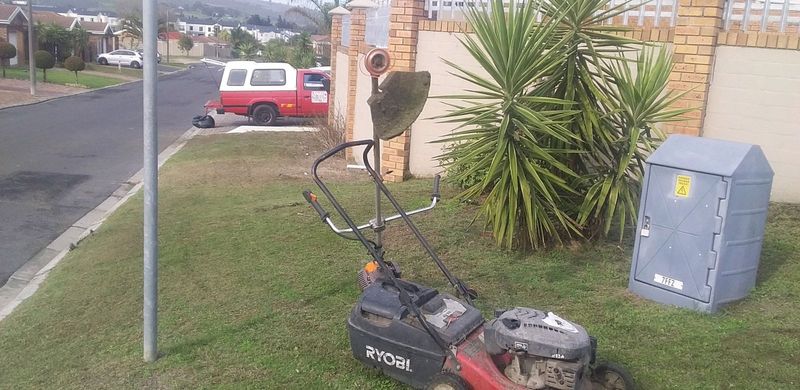 Grass cutting