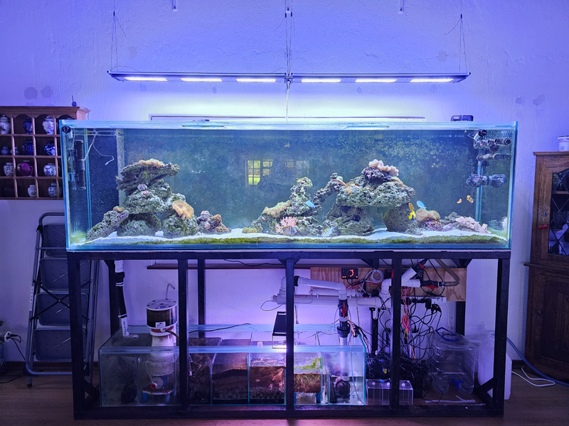 Marine Aquarium 1650l