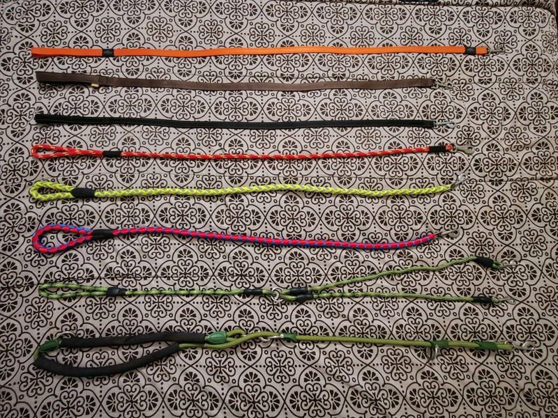 Dog Leashes X 8