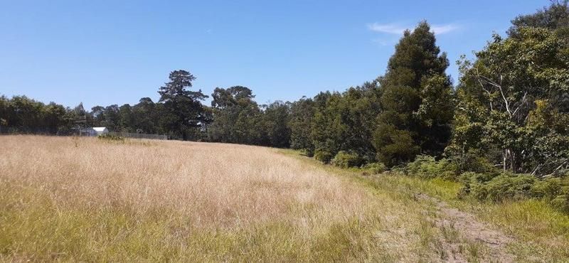 Vacant land/smallholding for sale.