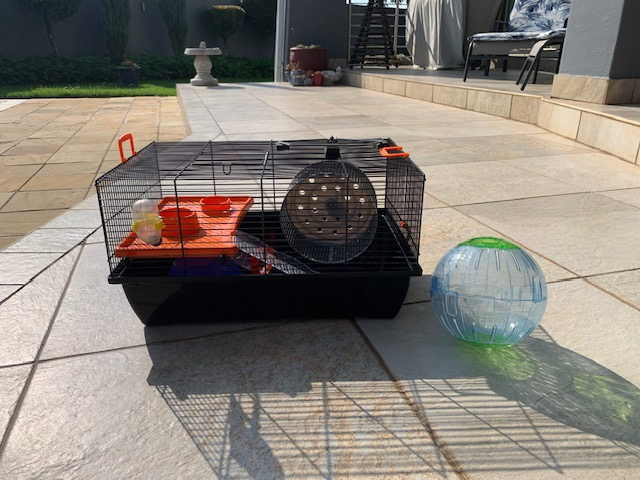 Hamster cage and accessories.