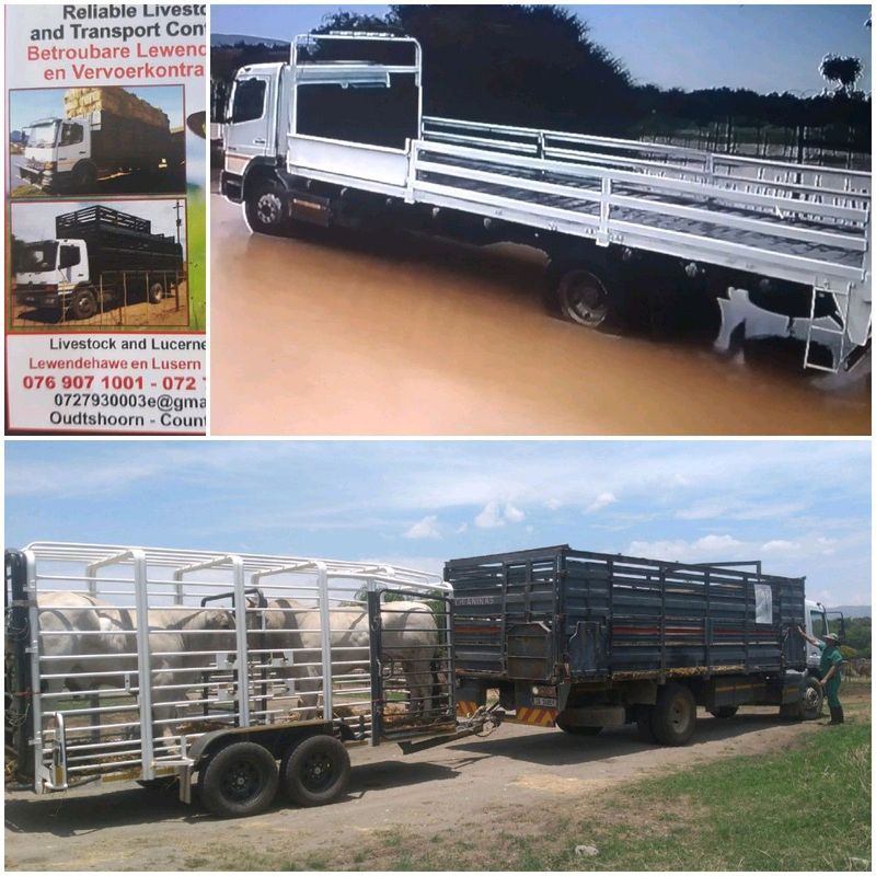 Transport Livestock and Agriculture