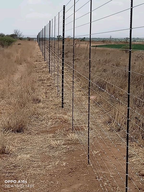 Fencing jobs around Africa