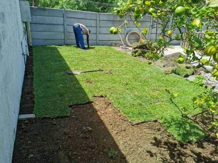 LAY A LAWN, ARTIFICIAL GRASS AND PAVING