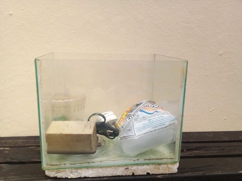 30 CM FISH TANK WITH ACCESSORIES
