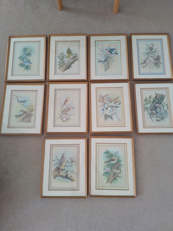 Framed Hand Painted Bird Pictures