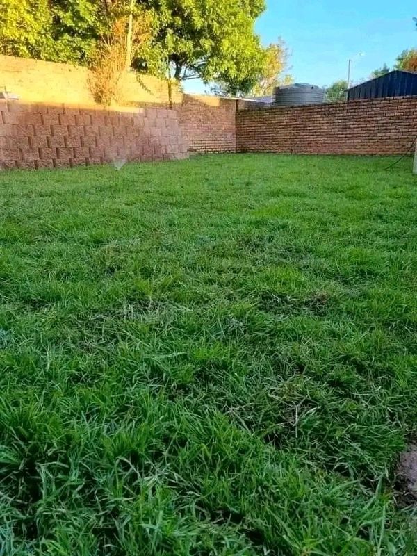 Kikuyu grass etc.