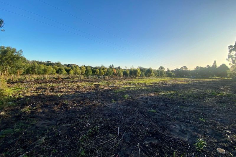 CLEARED VACANT LAND NEAR LADY SLIPPER