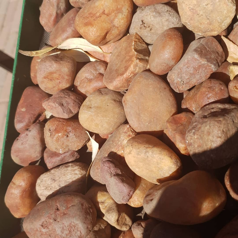 Pebbles, Limpopo