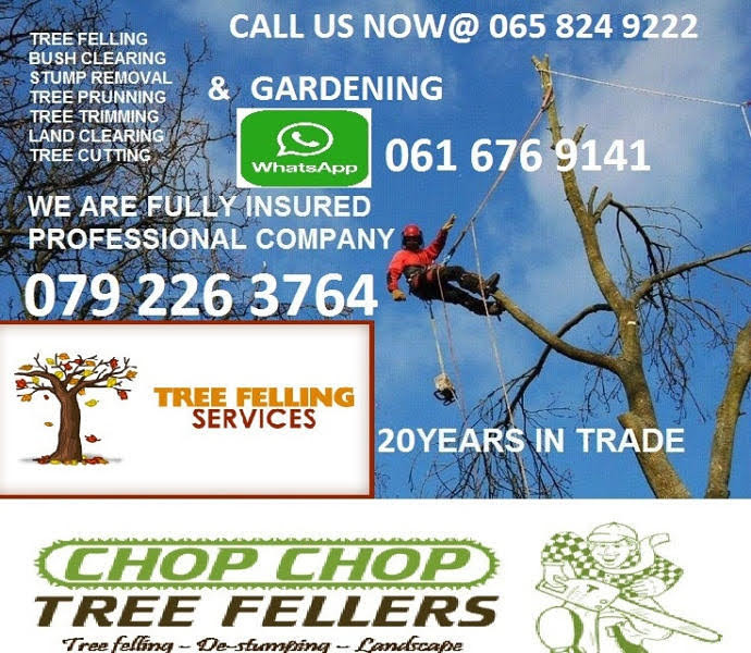 Professional tree felling cleaning services