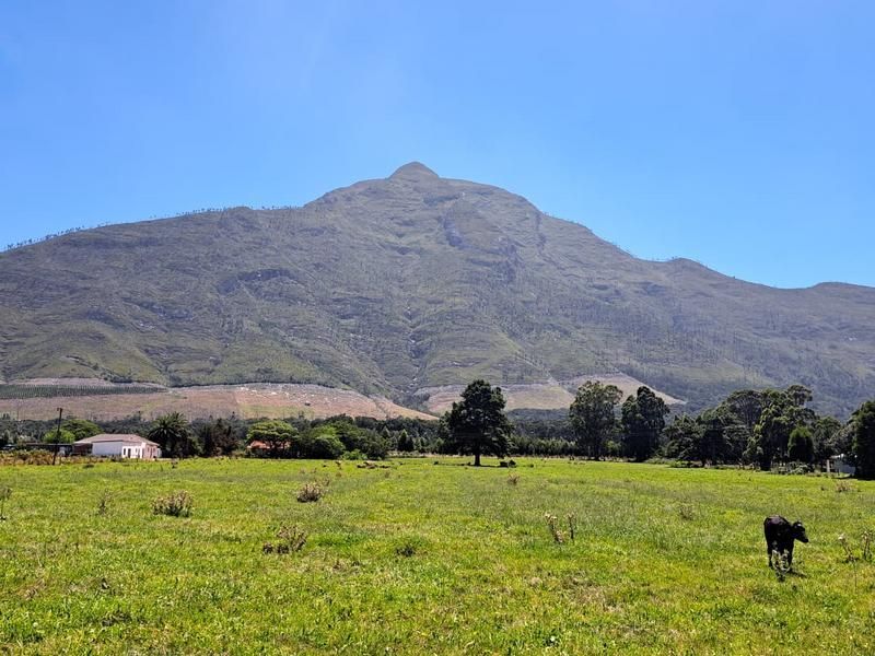 SOLE MANDATE - Prime agricultural smallholding is up for sale in the popular Tsitsikamma.