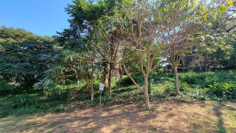Vacant Stand 1337sqm in Elaleni Coastal Forest Estate