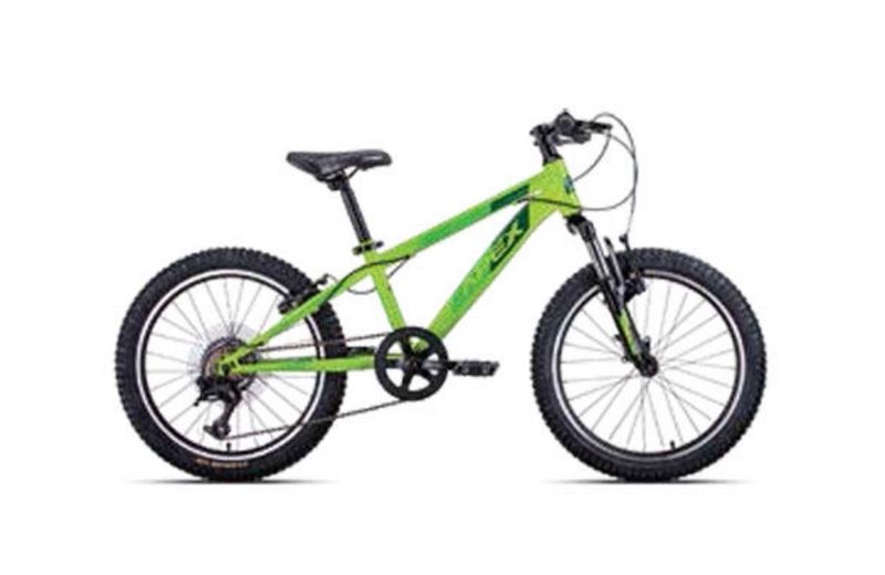 Apex 20 inch mountain bicycle green for boys a200