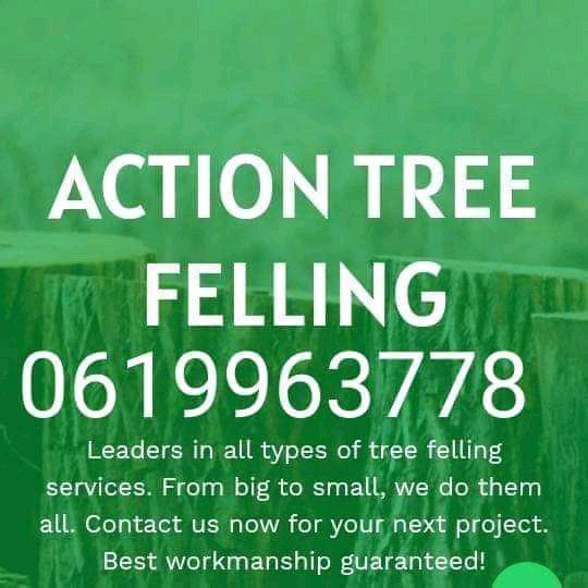 ACTION TREE FELLING SERVICES