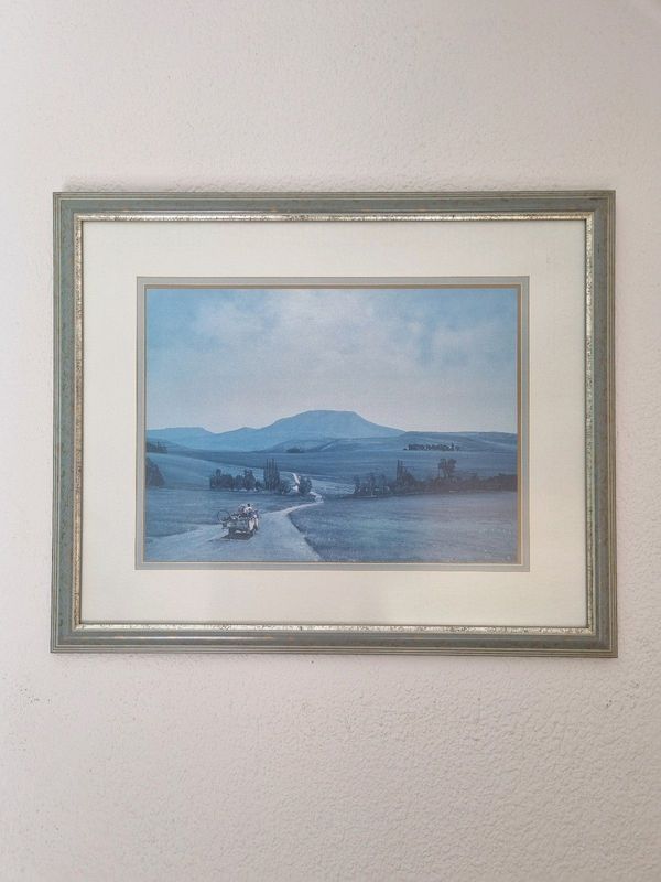 Peter Bonney framed prints R350 each. 65cm x 55cm