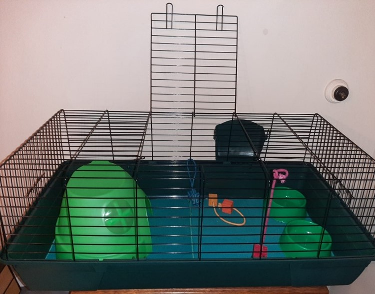 Cage with accessories