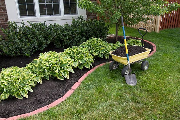 Gardening Outdoors Cleaning Services