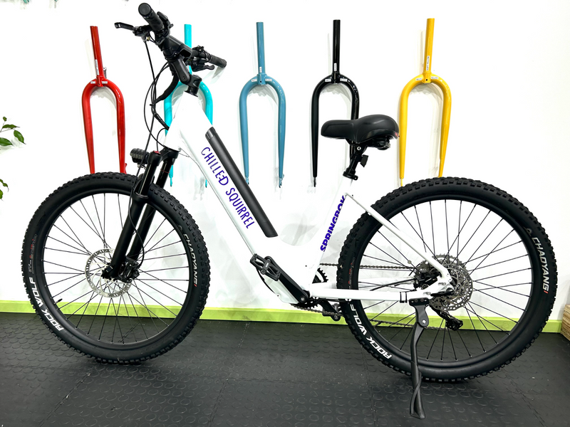 E-DRIVE YOUR BICYCLE | BIKE TO E-BIKE CONVERSIONS | COMPLETE ELECTRIC BIKES BUILT IN SOUTH AFRICA