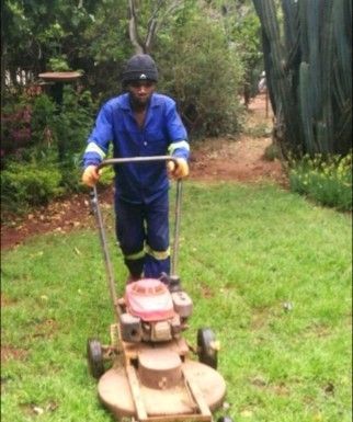Malawian Gardener Looking for a Job