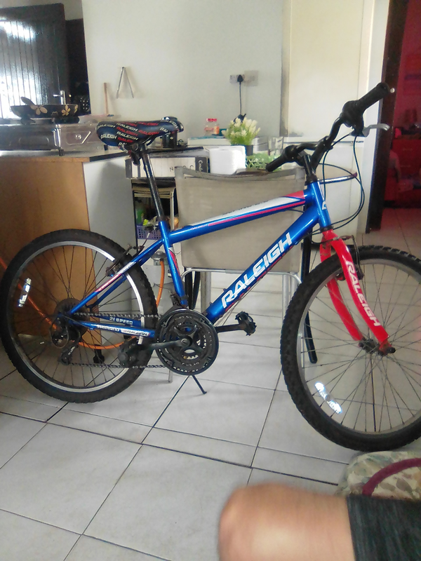 Raleigh bicycle for sale