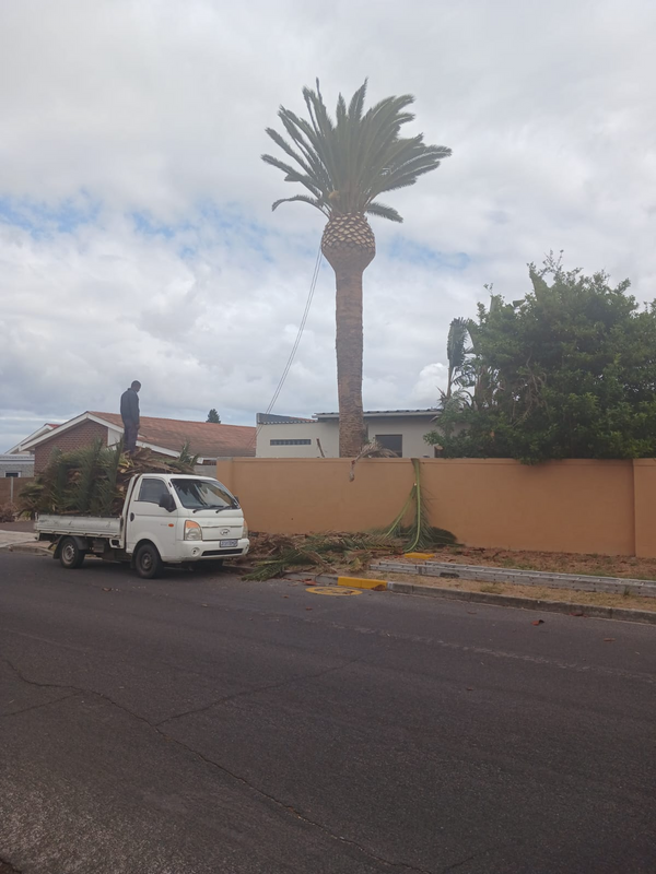 Tree felling, natural grass and compost installation